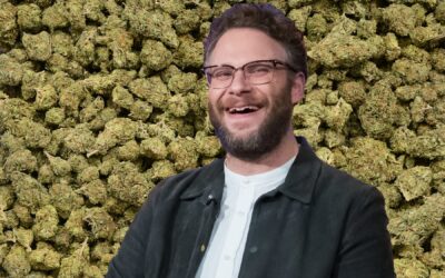 The Celebrity of Cannabis